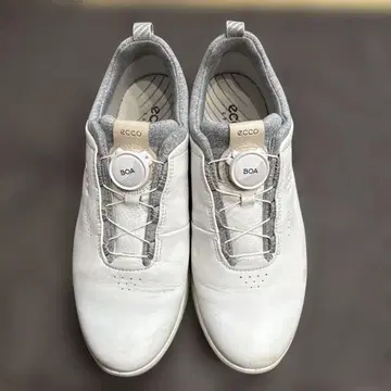 ecco 골프화 보아