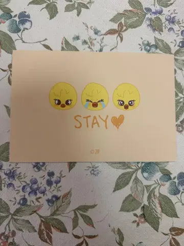 straykids 필립스 포가리 카드