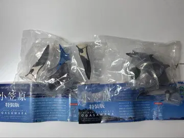 특장판 오가사와라 인도태평양 병코돌고래 & 앨버트로스 피규어 2체 세트