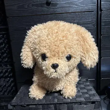 푸들 봉제 인형