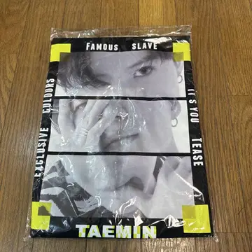 테민 T셔츠 L 사이즈