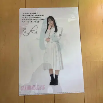 나카가와 치히로 클리어 파일
