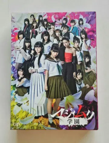 AKB48 마지무리 학원 DVD-BOX