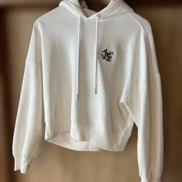 Abercrombie & Fitch 크롭 후드티