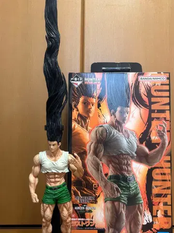 HUNTER x HUNTER 곤 피규어 라스트 원