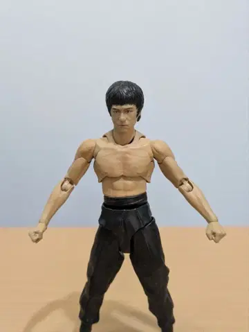 SH figuarts 브루스 리