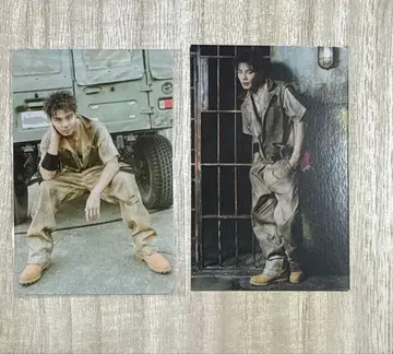 란페 타케치 카이세이 트레이딩 카드 라쿠텐 라키드로