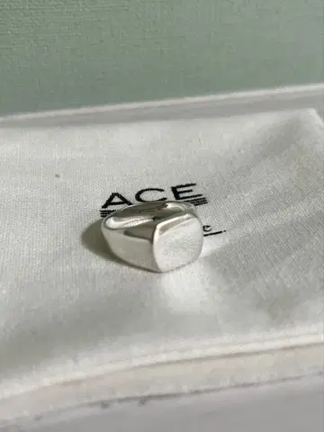 ACEbymorizane 실버