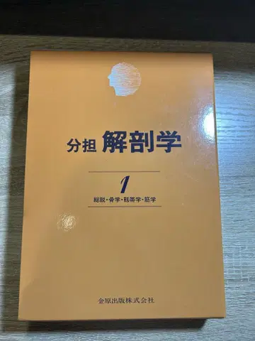 분담 해부학 1 총론 골학 인대학 근학
