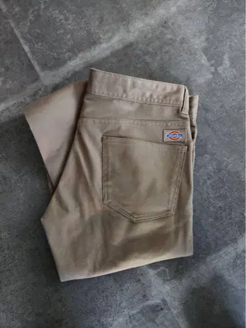 Dickies 디키즈 스키니 팬츠 2