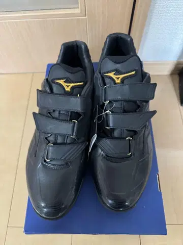 Mizuno Pro 업 슈즈
