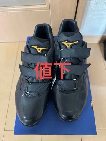 Mizuno Pro 업 슈즈
