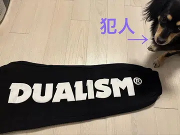 듀아리즘 스웨트 팬츠