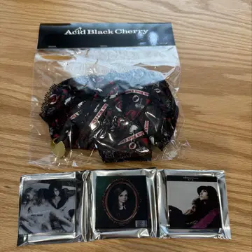 Acid Black Cherry 아크릴 마그넷&스크런치