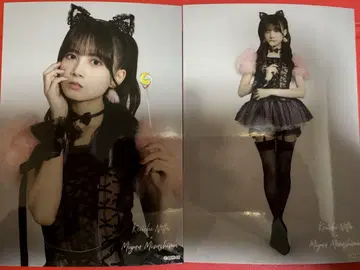 AKB48 다이마루 도쿄점 대의상전 랜덤 브로마이드 미즈시마 미유