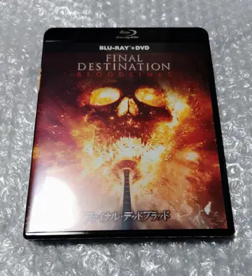 파이널 데드브래드 블루레이 + DVD 세트