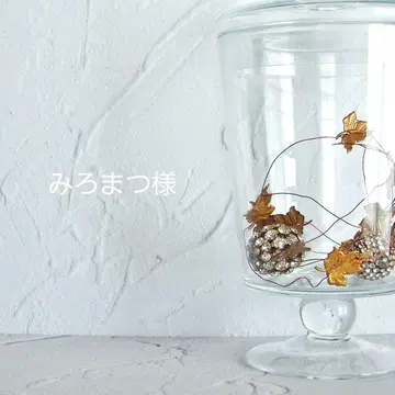 미로마츠 님