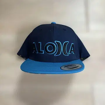 Hurley X ALOHA 네이비/블루 스냅백 캡