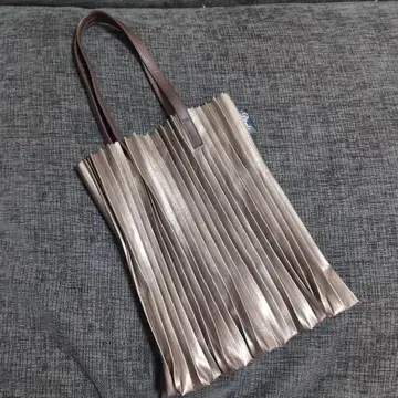 디오니스 플리츠 백