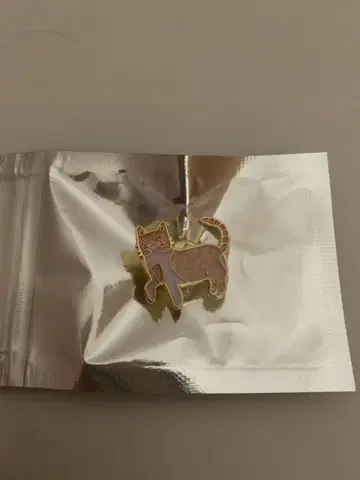 사막고양이 계속 한밤중이면 좋을 텐데 핀즈