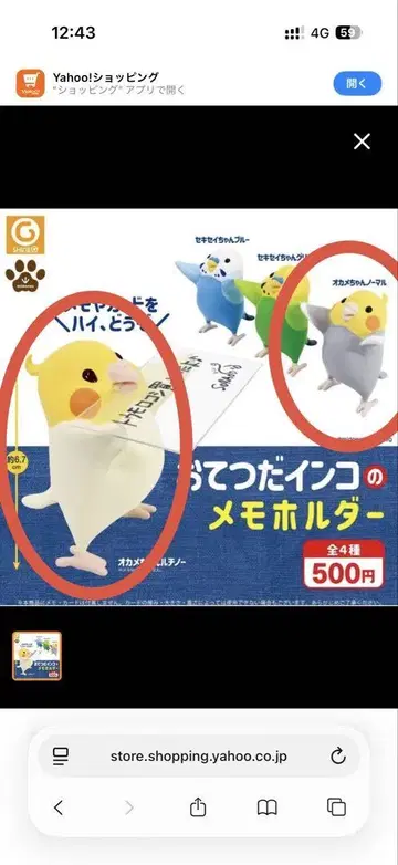 도우미 앵무새 메모 홀더 가챠 가챠가챠 코카투 노멀 루치노 노멀