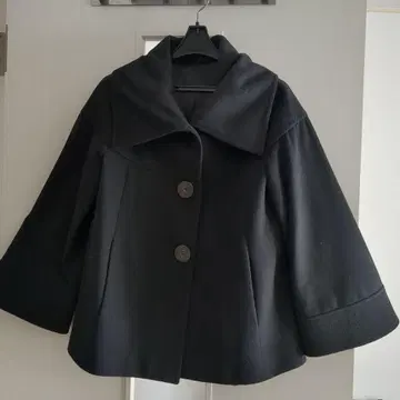 ZARA 코트 A라인 빅 칼라 소매 컨셔스 플레어 슬리브