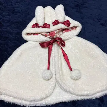 앨리스 인 원더랜드 판초 디즈니