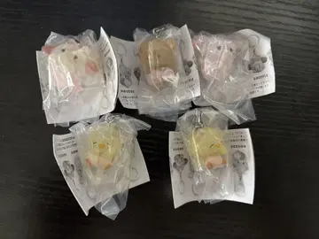 mikko 메지루시 액세서리 2종 컴프 4개 세트