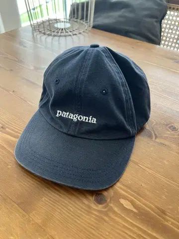 patagonia 네이비 캡