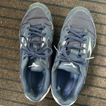 Mizuno 트레이닝 슈즈