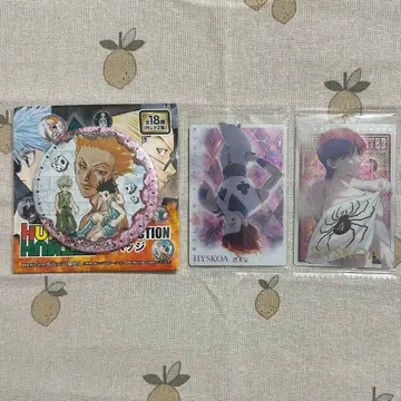 헌터헌터 히소카