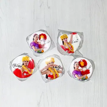 하와이안즈 플라걸 캔뱃지