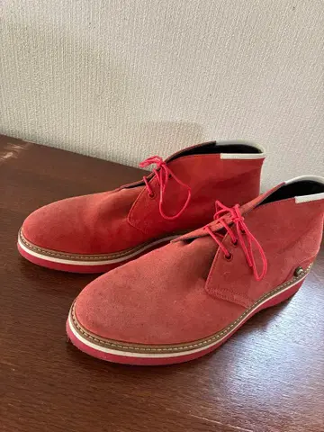 CESARE PACIOTTI (체사레 파치오티)