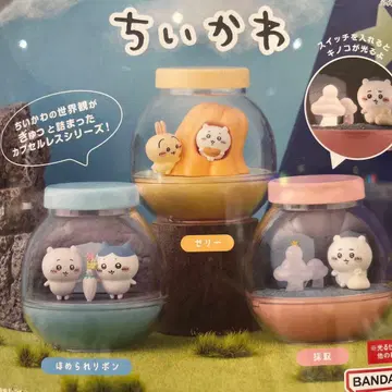 치이카와 카프세리움