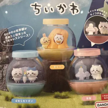 치이카와 카프세리움