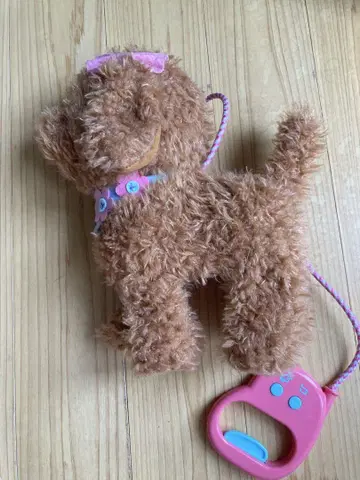 이와야 리모컨으로 산책하는 강아지 작동 확인 완료