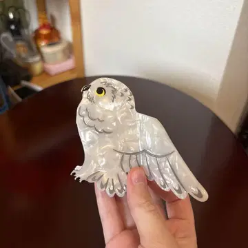 올빼미형 헤어 클립 클리어 화이트