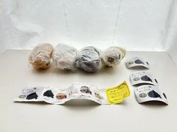 따라오지 않는 고양이 가챠 봉제 인형 마스코트 4종