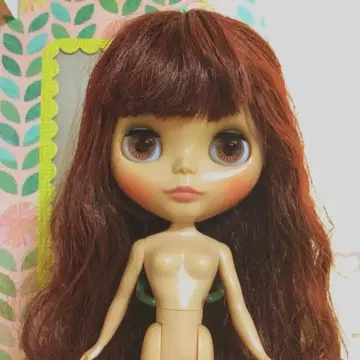 블라이스 스리 지속가능성 인형 본체