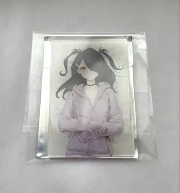 니디가 아크릴 트레이딩 카드 컬렉션 2 아메짱