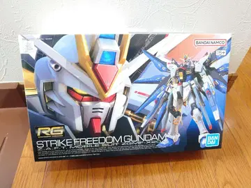 RG 스트라이크 프리덤 건담 ZGMF-X20