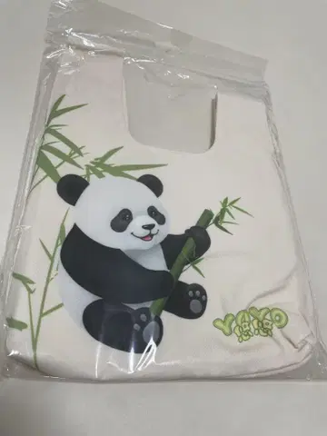 [ 오사카 간사이 만박 ] EXPO 2025 중국관 팬더
