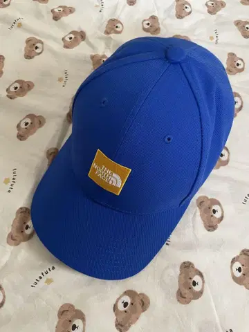 THE NORTH FACE 캡