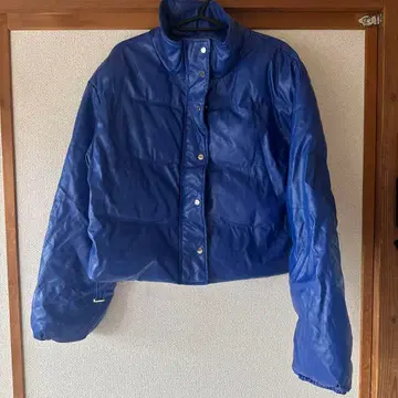 파란색 숏 기장 다운 자켓
