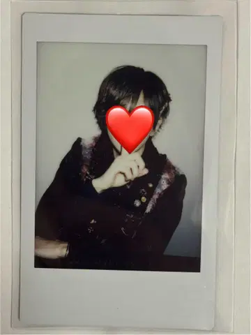 러브시크 사쿠라 폴라로이드