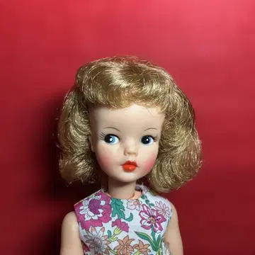 태미 인형 미국제
