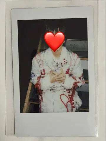 러브시크 사쿠라 폴라로이드