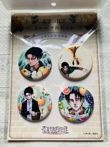 진격의 거인 진격의 히타