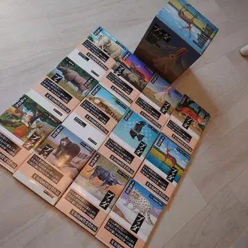 데즈카 오사무 붓다 전권 제1~12권 박스형