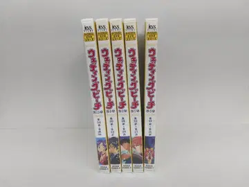 웨딩피치 DVD 5권 세트